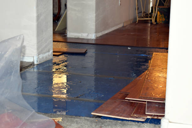 Professional Structural Drying technician working in Makinen, MN